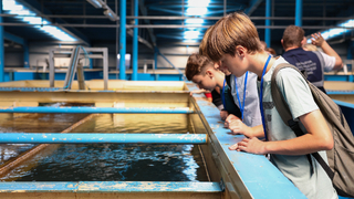 Yabancı öğretmen ve öğrenciler su arıtma süreçlerine tanıklık etti