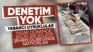 Yabancı uyruklular elektro şok aleti ile avladıkları balıkları satıyor