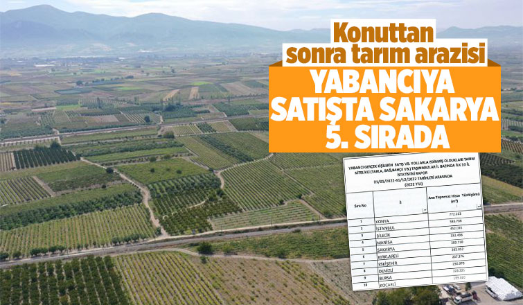 Yabancılara tarım arazisi satışında Sakarya ilk 5'te