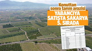 Yabancılara tarım arazisi satışında Sakarya ilk 5'te