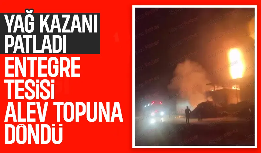 Yağ kazanı patlayan entegre tesisi alev alev yandı