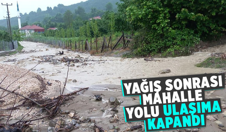 Yağış ile gelen taş ve odun parçaları yolu kapladı