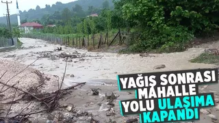 Yağış ile gelen taş ve odun parçaları yolu kapladı