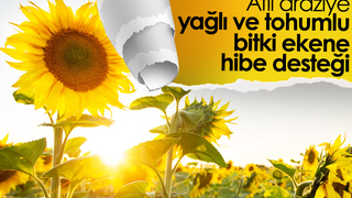 Yağlı tohumlu bitki üretimine hibe desteği verilecek