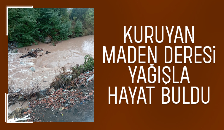 Yağmur Maden Deresi'ne hayat verdi