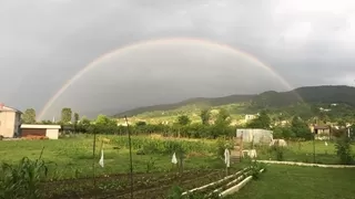 Yağmur sonrası gökkuşağı şöleni