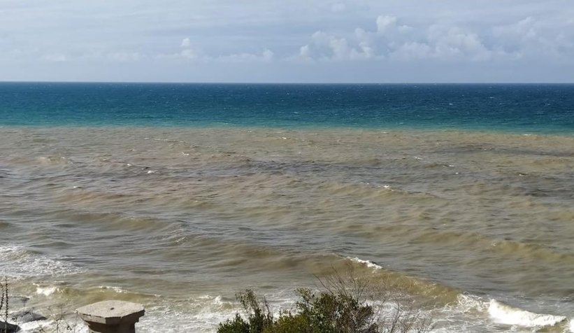 Yağmurun ardından Karadeniz iki renk oldu