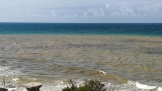 Yağmurun ardından Karadeniz iki renk oldu