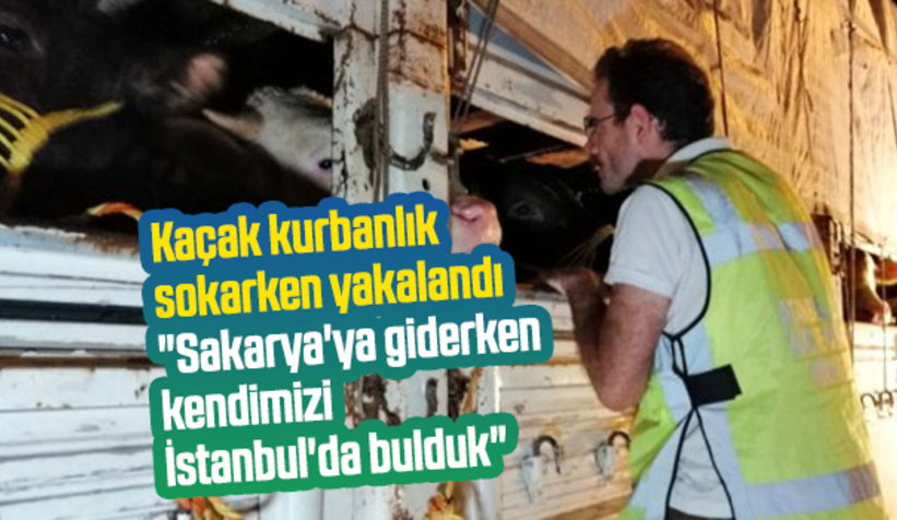 Yakalanınca 'yolu kaybettik' dedi