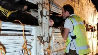 Yakalanınca 'yolu kaybettik' dedi