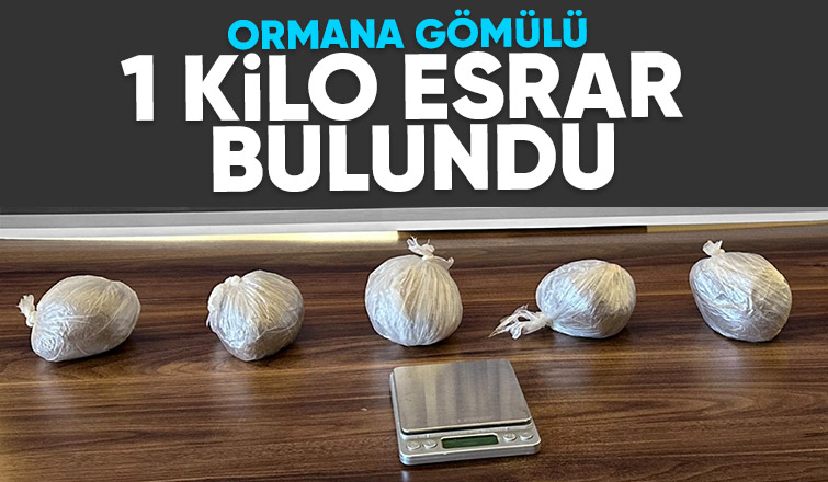 Yakalanmamak için esrarı ormana eklemişler