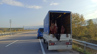Yakalanmasaydılar bu etleri bize yedireceklerdi
