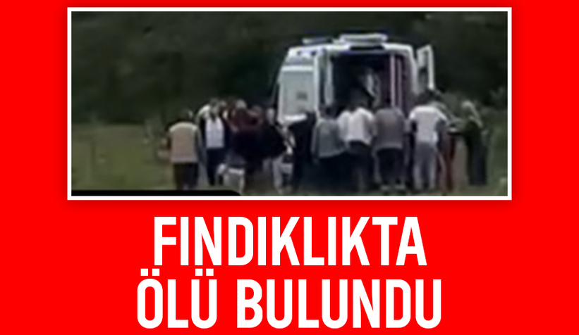 Yakınları fındıklıkta cansız bedenini buldu