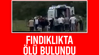 Yakınları fındıklıkta cansız bedenini buldu