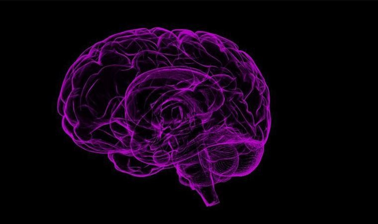 Yalnızlık beynin hayal gücüyle ilgili kısmını geliştiriyor