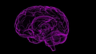 Yalnızlık beynin hayal gücüyle ilgili kısmını geliştiriyor