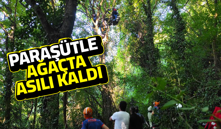 Yamaç paraşütüyle ağaca asılı kaldı