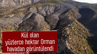 Yanan ormandan gerice ürkütücü manzara kaldı