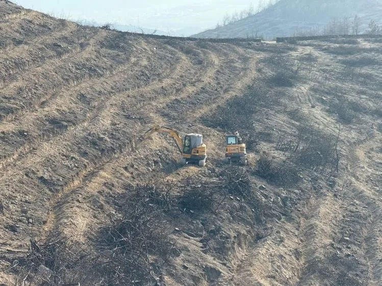 Yanan ormanlarda yeşillendirme çalışmaları sürüyor