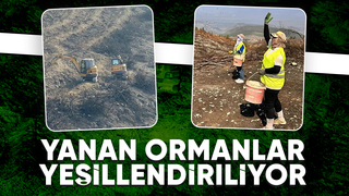 Yanan ormanlarda yeşillendirme çalışmaları sürüyor