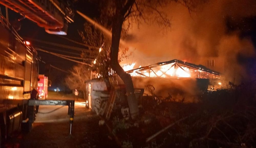 Yangın ahıra sıçradı: 7 küçükbaş hayvan telef oldu