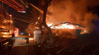 Yangın ahıra sıçradı: 7 küçükbaş hayvan telef oldu