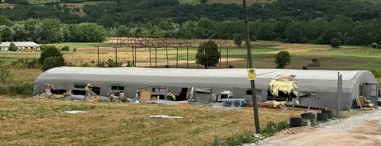 Yangın faciası: Kuzular telef oldu