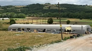 Yangın faciası: Kuzular telef oldu