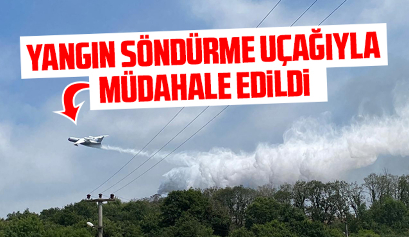Yangın söndürme uçağı müdahale etti