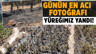 Yangın sonrası en acı fotoğraf