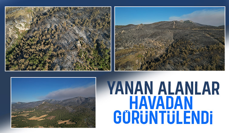 Yangın sonrası yeşil gitti, siyah geldi