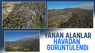 Yangın sonrası yeşil gitti, siyah geldi
