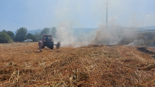 Yangın tarlaya sıçradı, mahsuller kurtarıldı