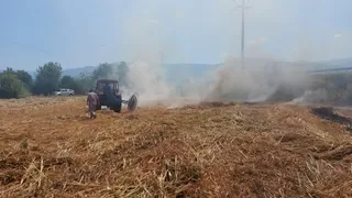 Yangın tarlaya sıçradı, mahsuller kurtarıldı