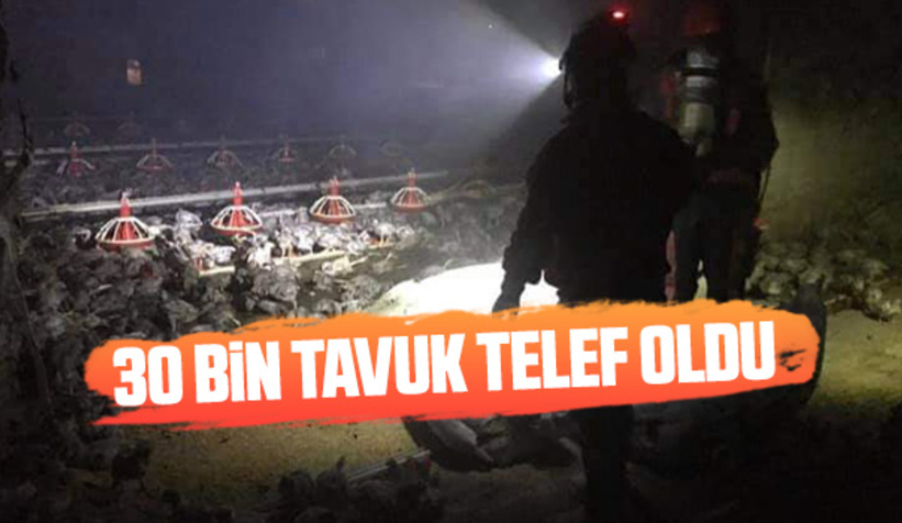 Yangında 30 bin tavuk telef oldu