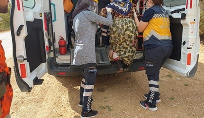 Yaralı domuzun saldırısına uğrayan kadın yaralandı