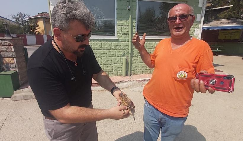 Yaralı halde buldu, orman işletmeye teslim etti