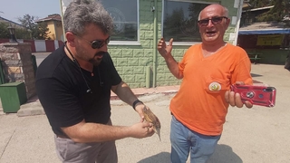 Yaralı halde buldu, orman işletmeye teslim etti