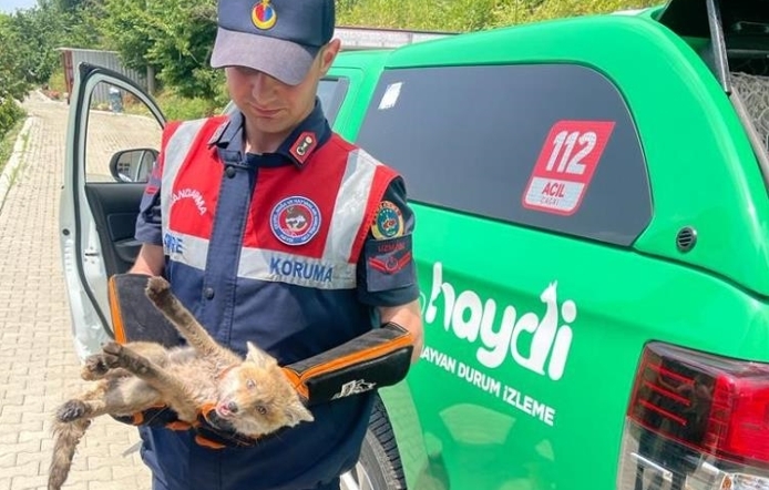 Yaralı tilkiye jandarma şefkati