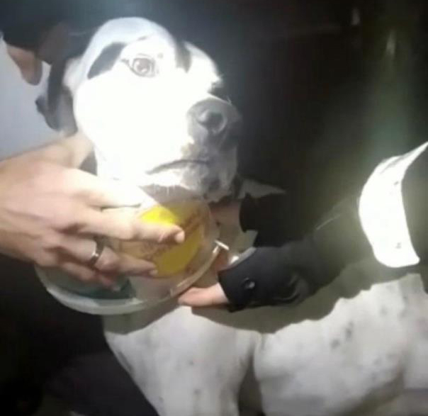 Yardımına bekçiler koştu