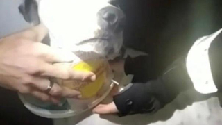 Yardımına bekçiler koştu