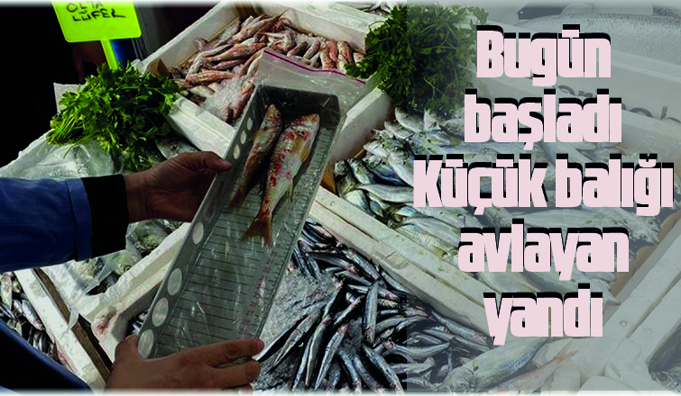 Yasa dışı su ürünleri avcılığına göz açtırılmayacak