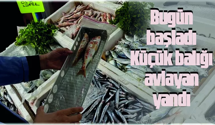 Yasa dışı su ürünleri avcılığına göz açtırılmayacak