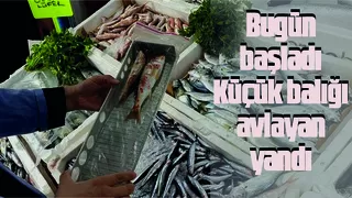 Yasa dışı su ürünleri avcılığına göz açtırılmayacak