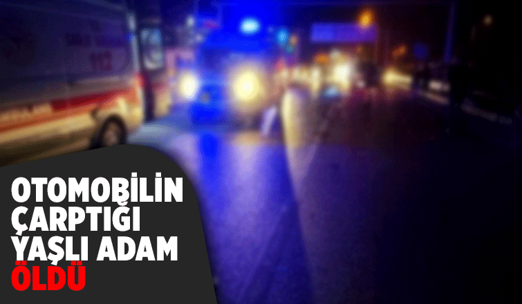 Yaşlı adam kazada öldü