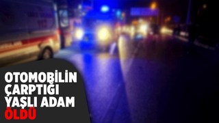 Yaşlı adam kazada öldü