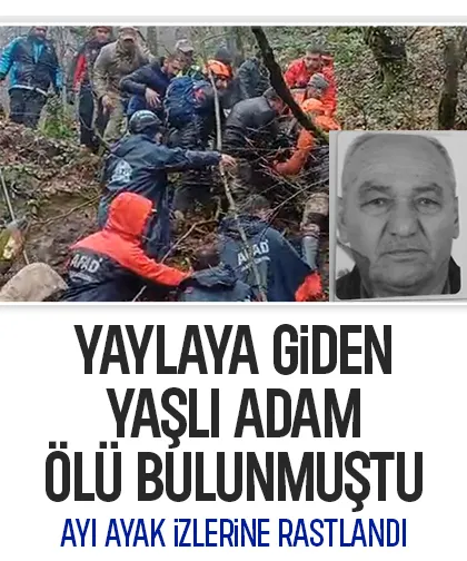 Yaşlı adam ölü bulunmuştu, ormanda ayı ayak izlerine rastlandı