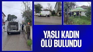 Yaşlı kadın evde ölü bulundu