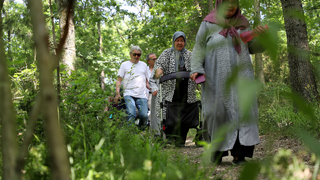 Yaşlılar yeşilin tonları arasında gezintiye çıktı