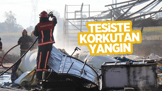 Yatak süngeri üreten tesiste korkutan yangın